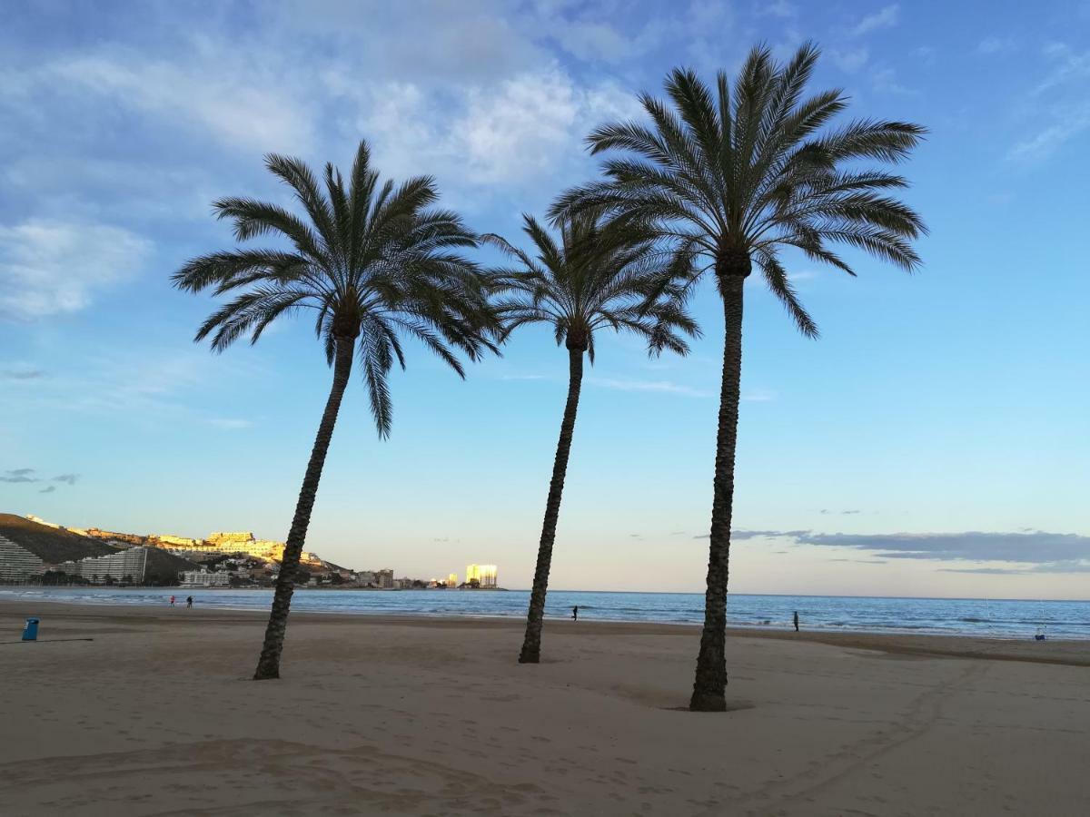 Apartamento Florazar 2, 8ºc Cullera Exterior foto